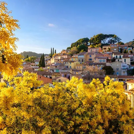Cote D'azur-13 By Interhome Bormes-les-Mimosas